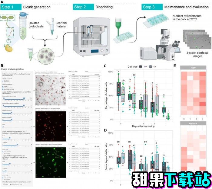 科学家用3D打印机“生物打印 ”植物细胞 以研究细胞功能