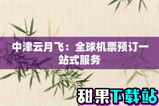 中津云月飞：全球机票预订一站式服务